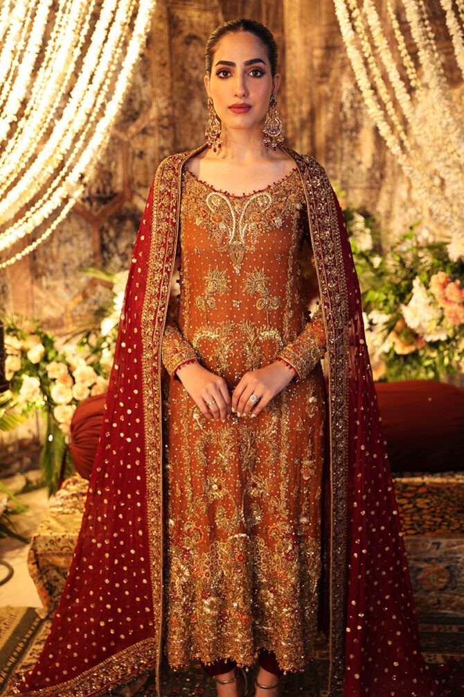 Classy rust orange Bridal Dresses