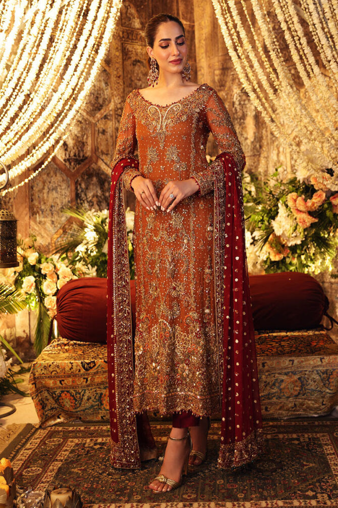Classy rust orange Bridal Dresses