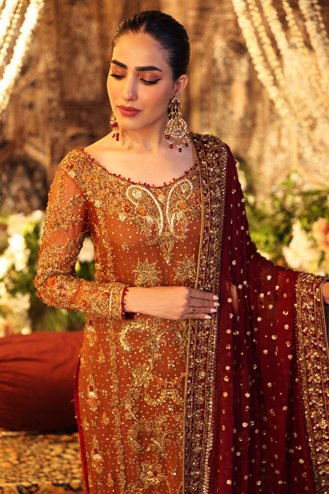 Classy rust orange Bridal Dresses