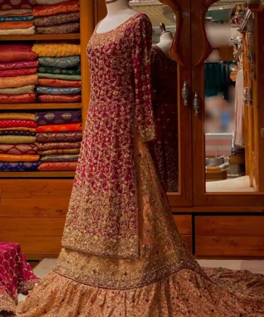 Elegant Anari Red Bridal Ensemble in Silk Net with Exquisite Embroidery