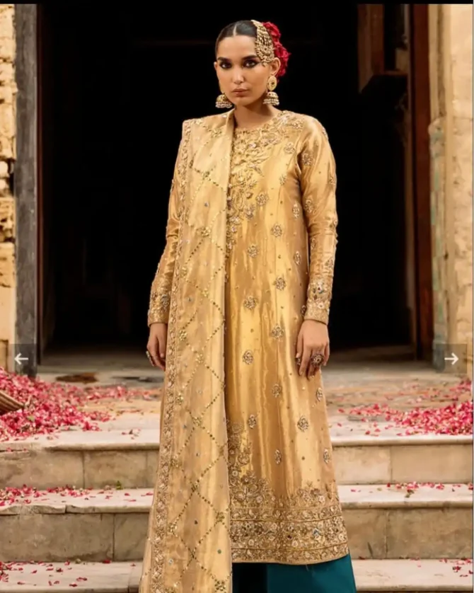 Gold Chandi Tissue Party Wear Dress
